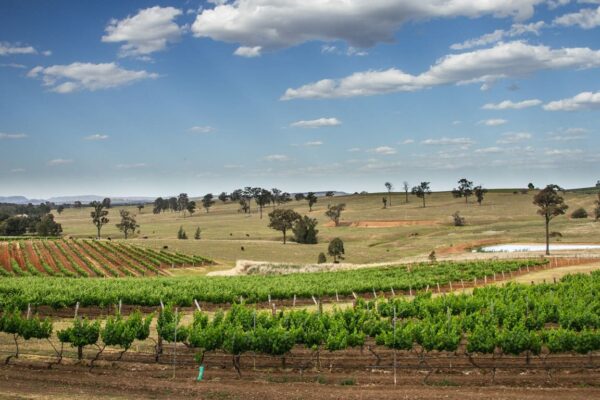 Laval Hunter Valley